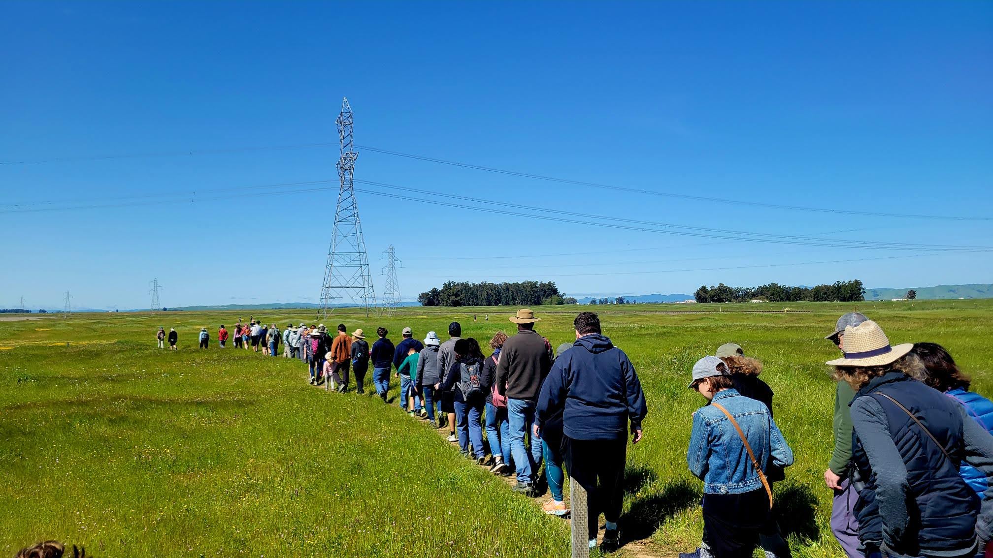Lauren on docent duty leading a wildflower tour at Jepson Prairie